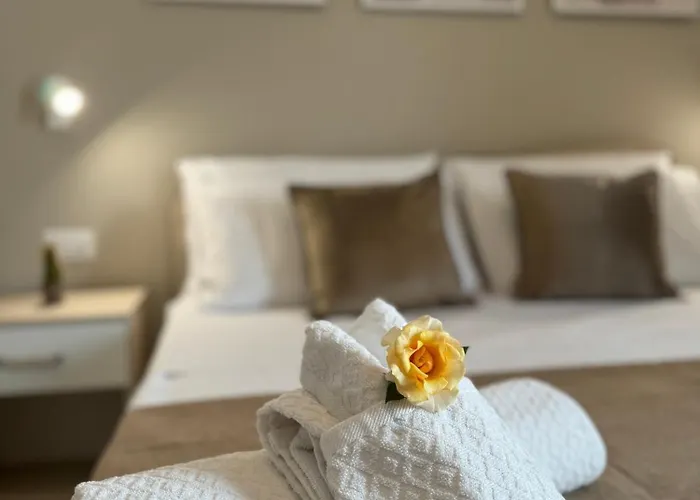 La Stella Dei Venti *